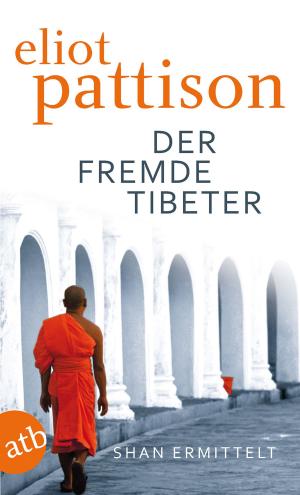Book cover of Der fremde Tibeter