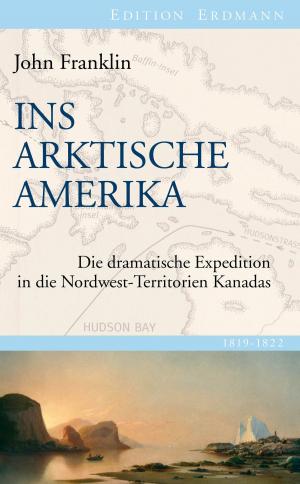 Cover of the book Ins Arktische Amerika by Roald Amundsen, Detlef Brennecke