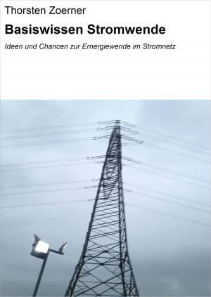 Book cover of Basiswissen Stromwende