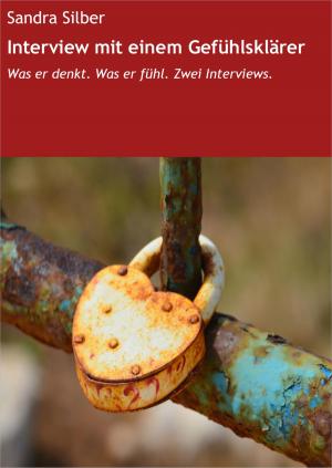 Cover of the book Interview mit einem Gefühlsklärer by Melody Adams