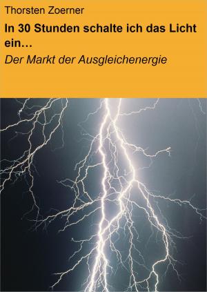 Cover of the book In 30 Stunden schalte ich das Licht ein… by Hanna Julian