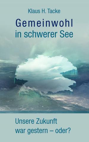 Cover of the book Gemeinwohl in schwerer See by Volker Römstedt