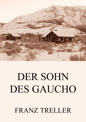 Cover of the book Der Sohn des Gaucho by Wilhelm Adolf Lampadius
