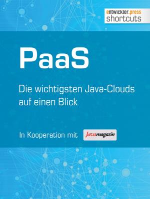 Book cover of PaaS - Die wichtigsten Java Clouds auf einen Blick