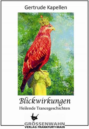 Cover of the book Blickwirkungen by Thomas Pregel