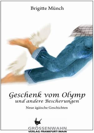 Cover of the book Geschenk vom Olymp by Stefano Polis