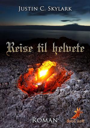 Cover of the book Reise til helvete by Robert Louis Stevenson