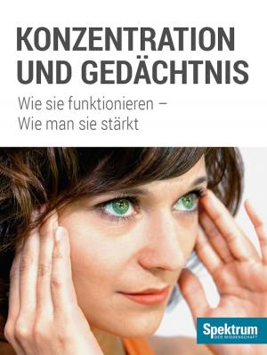 Cover of the book Konzentration und Gedächtnis by 