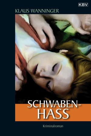 Cover of the book Schwaben-Hass by Franziska Franke