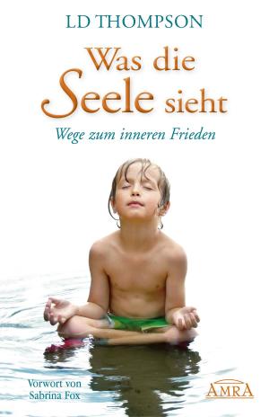 Cover of the book Was die Seele sieht by Kabir Jaffe, Ritama Davidson, Margaretha Bessel, Christiane Becht