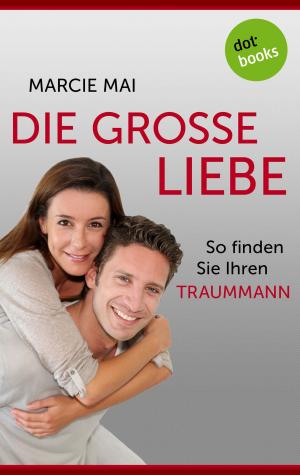 Book cover of Die große Liebe: So finden Sie Ihren Traummann