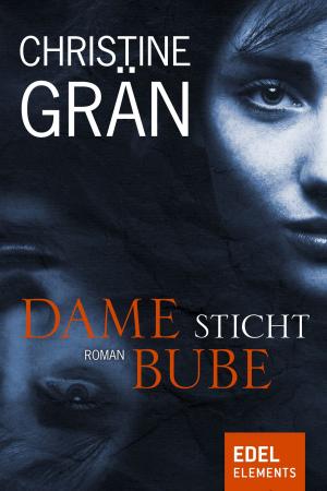 Cover of the book Dame sticht Bube by Franziska Wulf