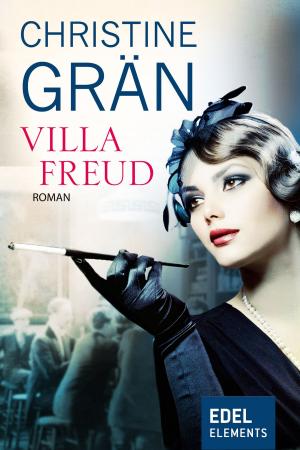 bigCover of the book Villa Freud by 