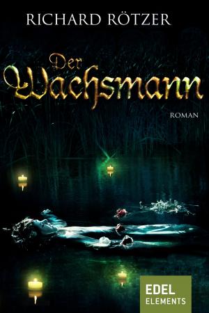 Cover of the book Der Wachsmann by Lara Stern