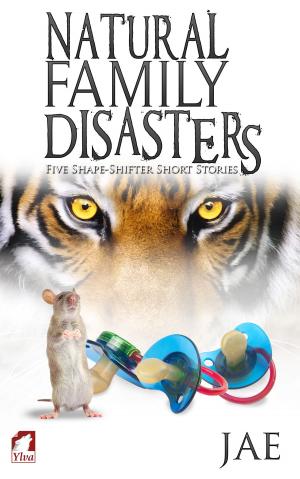 bigCover of the book Natural Family Disasters by 