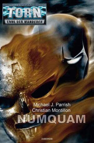 Cover of the book Torn 60 - Numquam by Michael J. Parrish