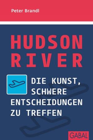 Cover of the book Hudson River by Monika Matschnig