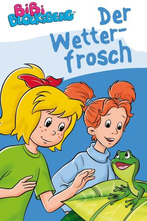 Cover of Bibi Blocksberg - Der Wetterfrosch