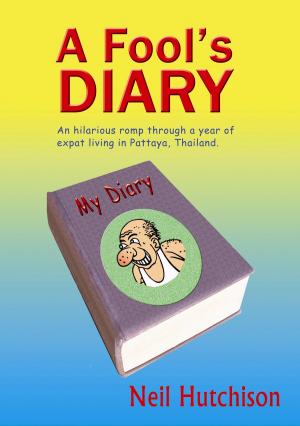 Book cover of A Fool's Diary