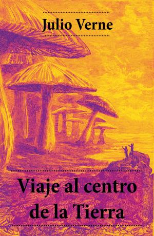 Cover of the book Viaje al centro de la Tierra by Julio  Verne
