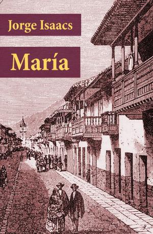 Cover of the book María by Edgar  Allan Poe