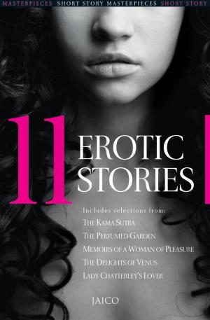 Book cover of 11 Erotic Stories