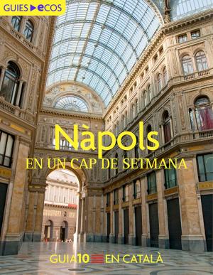 Cover of the book Nàpols. En un cap de setmana by Jukka-Paco Halonen