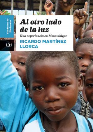 Cover of the book Al otro lado de la luz by Varios autores