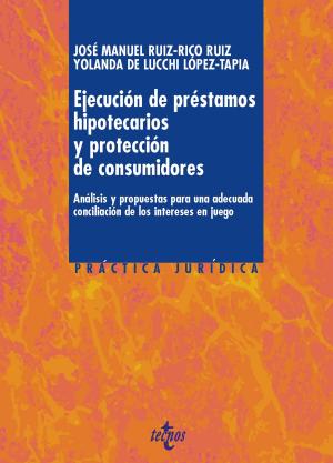 Cover of the book Ejecución de préstamos hipotecarios y protección de consumidores by Ignacio Fernández Sarasola, Eduardo Sánchez Álvarez