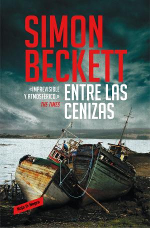 Book cover of Entre las cenizas (Antropólogo forense David Hunter 2)