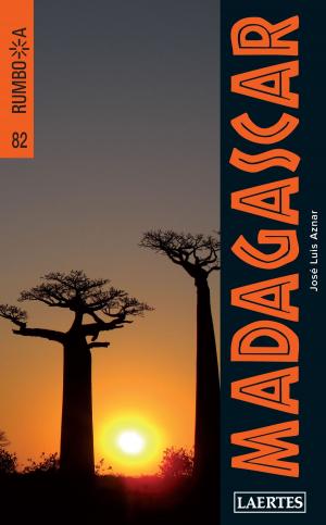 Cover of the book Madagascar by Luis Aragón Domínguez, Iván Gómez García