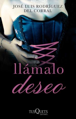Cover of the book Llámalo deseo by José Luis Corral