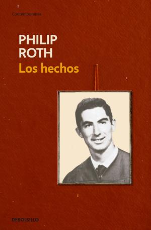 Cover of the book Los hechos by Lucía de Vicente