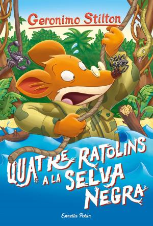 Book cover of Quatre ratolins a la Selva Negra