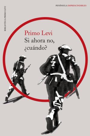 Cover of the book Si ahora no, ¿cuándo? by Malenka Ramos