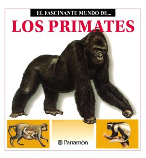 Cover of the book Los Primates by David Curto Secanella, Isabel Romero Albiol
