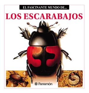 Cover of the book Los Escarabajos by Isidro Sánchez