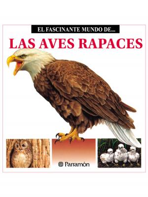 Cover of the book Las Aves Rapaces by Raweewan M.