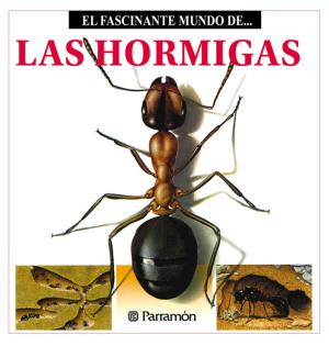 Cover of the book Las Hormigas by Chris Jarmey