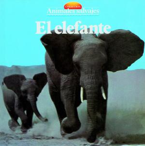 Cover of the book El elefante by Carlos Vila Gómez