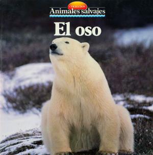 Cover of El oso