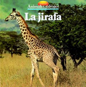 Cover of the book La jirafa by Santiago Vázquez Folgueira