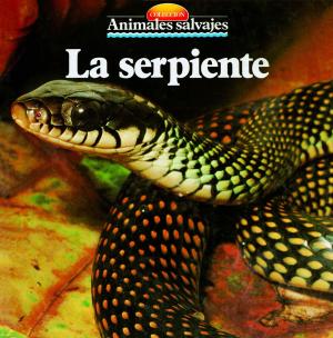 Cover of the book La serpiente by Àngels Comella
