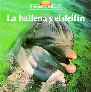 Cover of the book La ballena y el delfin by Hans Christian Andersen