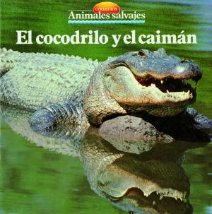 Cover of the book El cocodrilo y el caimán by Àngels Comella