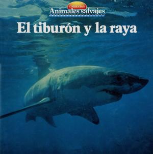 Cover of the book El tiburón y la raya by Àngels Comella
