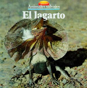Cover of the book El lagarto by Mauricio Bach