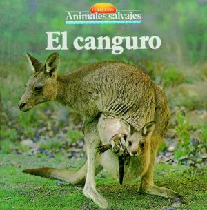 Cover of the book El canguro by David Curto Secanella, Isabel Romero Albiol