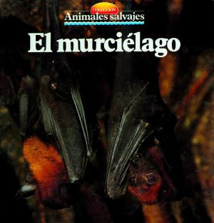 Cover of the book El murciélago by Antonio López Manzano