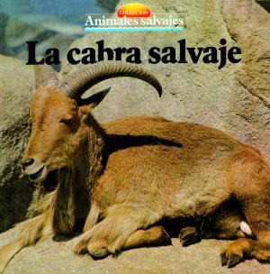 Cover of the book La cabra salvaje by Riley Weber